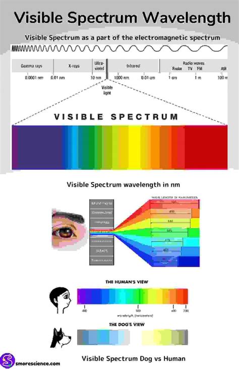 how are x rays similar to visible light